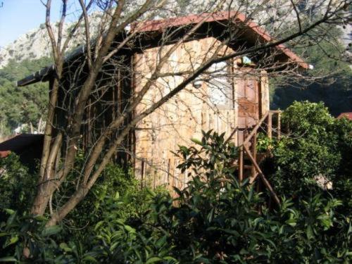Bayrams Tree Houses - main image