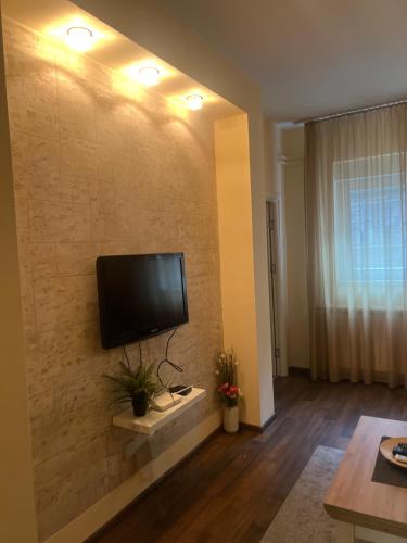 Safari Apartment - image 4