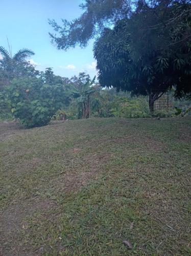 Hostal Agro-turistico Loma Estrella in Isla Cristobal