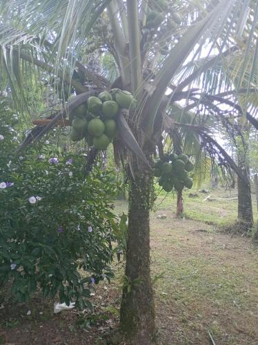 Hostal Agro-turistico Loma Estrella in Isla Cristobal