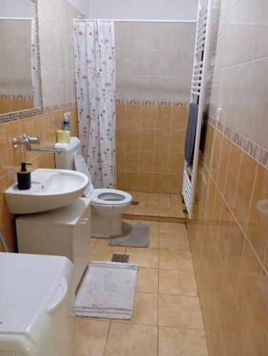 Bathroom, Sprencz Csaladi Major in Sátoraljaújhely