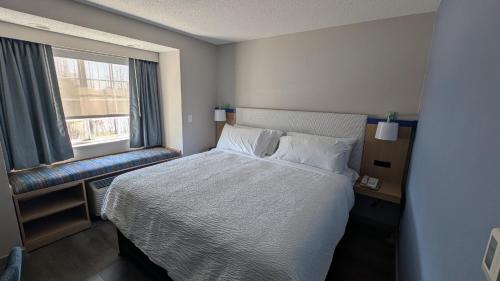 Econo Lodge Inn and Suites Greenville - image 21