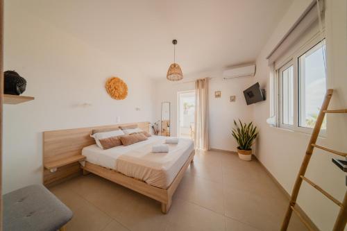 Indigo Seaside Experience in Arkadi