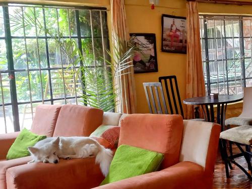 the geranium a 7 all ensuite bedroom home in Naivasha