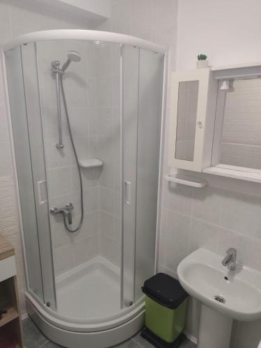 Studio apartman & Rooms No1 5
