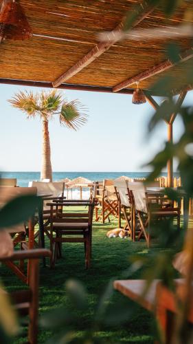 Indigo Seaside Experience 5
