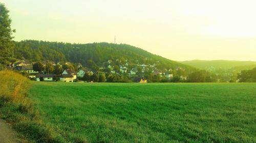 Siegerland-Hotel Haus im Walde - image 6