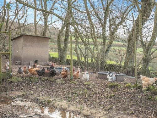 設施, 3 Bed in Corfe Castle oc-ic002 in 多塞特