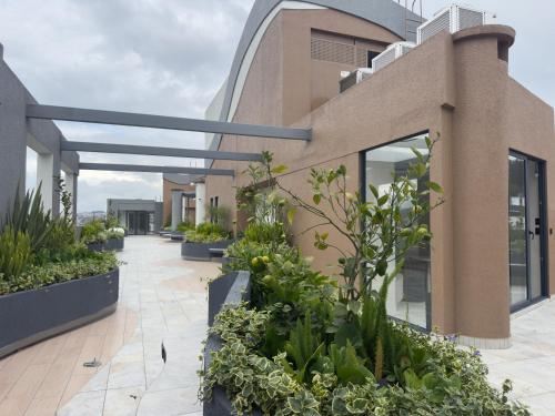 A szálláshely kívülről, Nuevo Estudio Cielo 11 - Vista al Parque La Carolina in El Batan