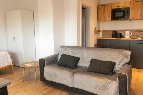 11-modernes und frischsaniertes Apartment mit Garten inklusive WLAN in Wiesbaden, Deutschland