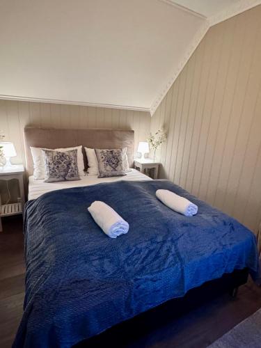 Villa Utsikten Romsdalen in Andalsnes