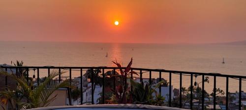Frida Inspired Oceanview Old Town Centro Vallarta Heritage House - image 2