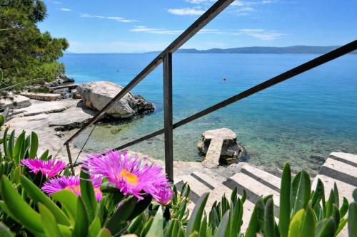 Villa Danica – Mimice, MD