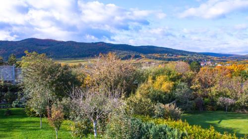 Kert, Villa with terrace and garden close to Vienna in Perchtoldsdorf