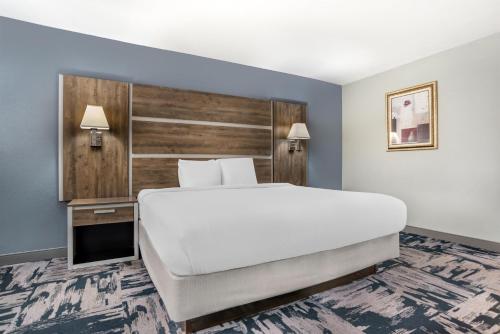 Vendégszoba, Best Western Wakulla Inn & Suites in Crawfordville (FL)