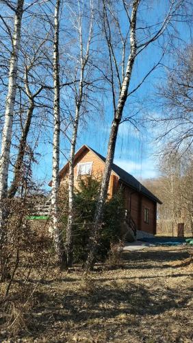 Вілла з чаном "4 качки" у лісі біля Львова для святкувань і відпочинку in Lypnyky