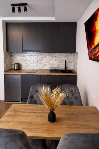 Golden Panorama Apartment & Spa - Location saisonnière - Vrnjačka Banja