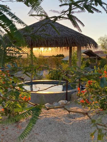 Surrounding environment, Azure Palm Hot Springs in Desert Hot Springs (CA)