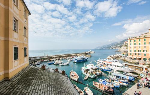 2 Bedroom Amazing Apartment In Camogli
