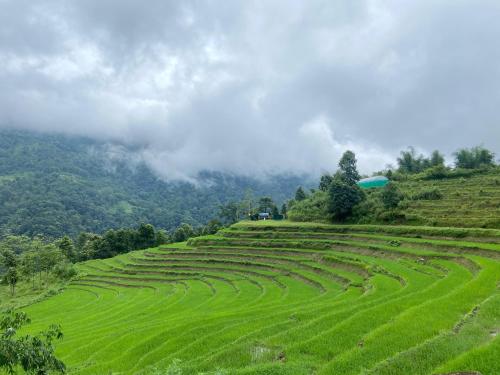 Green Valley Homestay Todey in Paren Godak Khasmahal
