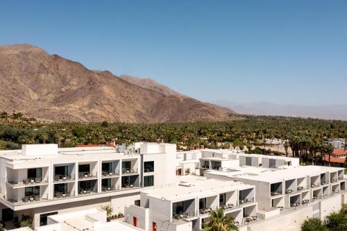 Thompson Palm Springs By Hyatt - image 5