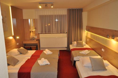 Pass Hotel - image 14