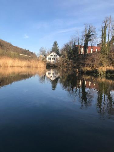 Studio im Naturschutzgebiet in Spreitenbach