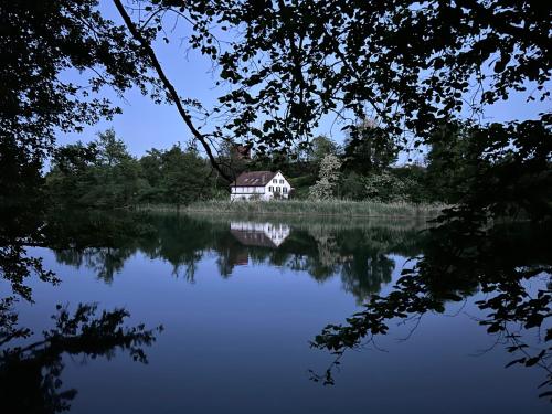 Studio im Naturschutzgebiet in Spreitenbach