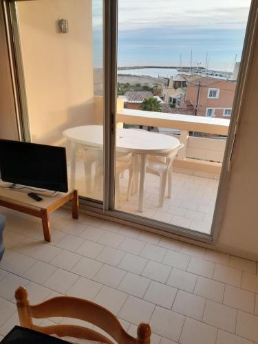 les flamants - Location saisonnière - Frontignan