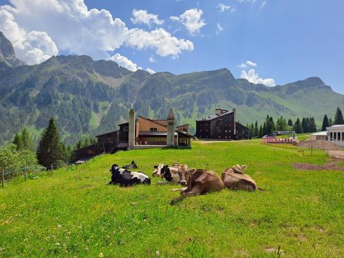 Valles Vacanze - ski in & ski out - Somor