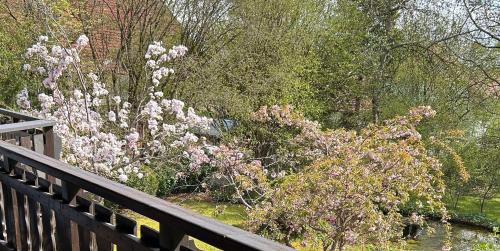 Apartment Gardenview in 霍恩富希