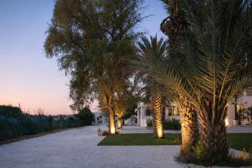 Garden, Hotel Archipel in Monastir