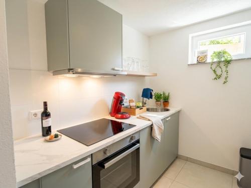 Premium-Apartment, 4 Betten, Nahe Ulm für Familien und Gruppen,Hund (Premium-Apartment, 4 Betten, Nahe Ulm fur Familien und Gruppen,Hund) in Eselsberg