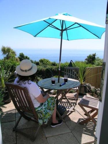 Seaside - sensational sea views gîte à louer White Coomb