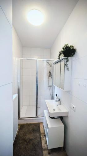 Apartment Trauninsel in Bad Aussee, Österreich