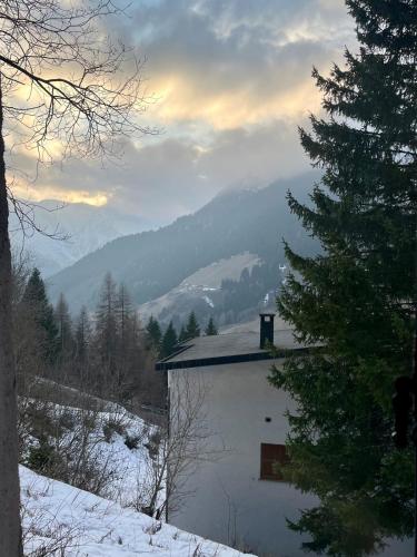 View, Eden Alpino - Ottimo Trilocale a 100 mt dalle piste in Foppolo