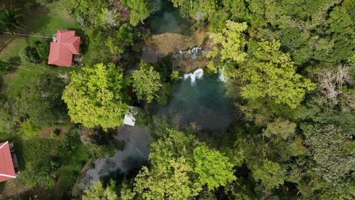 Tu Casa en la Selva Lacandona in Champa