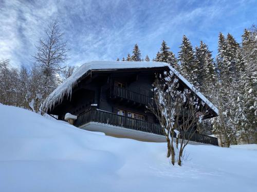 Unterkunft von außen, Apartment Chalet l'Aube by Interhome in Les Diablerets