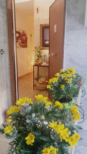 ARIEL ROOMS 2