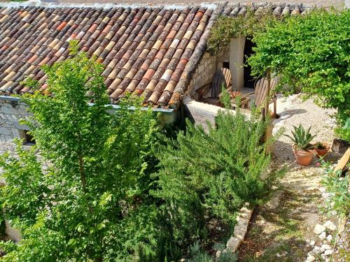 入口, Moon in 卡斯泰爾諾蒙特拉蒂耶