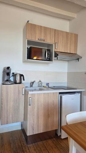 Le Petit Quai Studio 2 site historique Chinon in 希農市中心