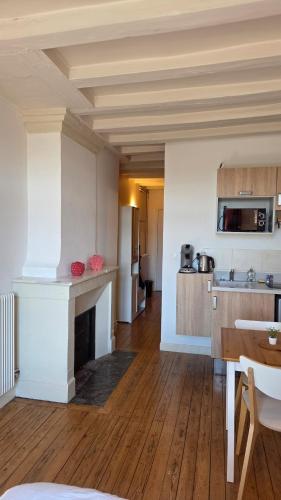 Le Petit Quai Studio 2 site historique Chinon in 希農市中心