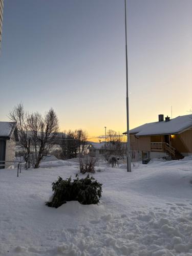 Cozy apartment close to nature in Kvaloysletta