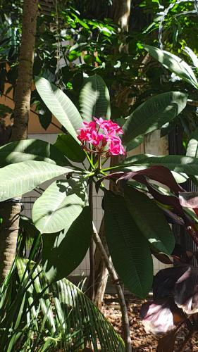 Apartamento Kitnet charmoso na Tijuca in Tijuca
