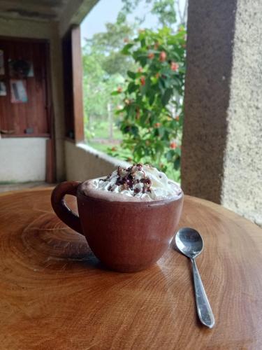 Aktivitātes, La Casa del Chocolate, We love Cacao in El Kastillo De La Konsepsjona