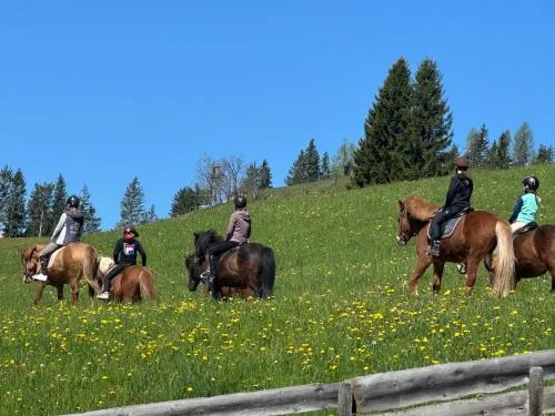 Oberegghof in Wagrain, Österreich