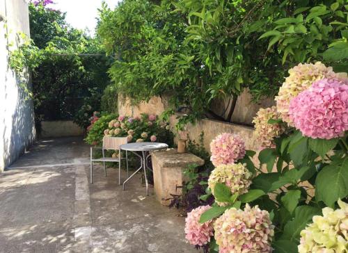  Apartment Kalamota in Koločep