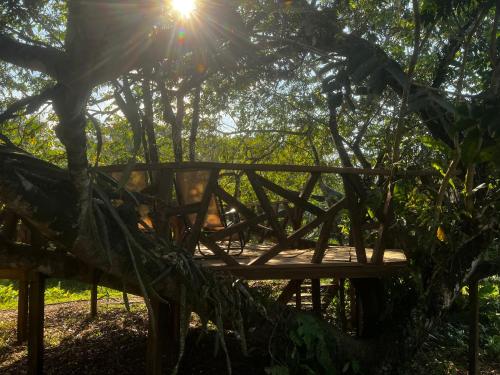 Dārzs, La Casa del Chocolate, We love Cacao in El Kastillo De La Konsepsjona