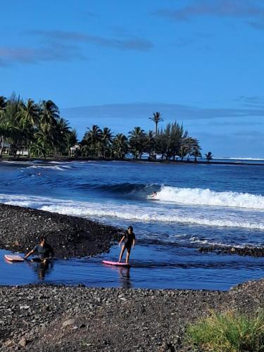 Fare Te Ava Iti in Teahupo'o