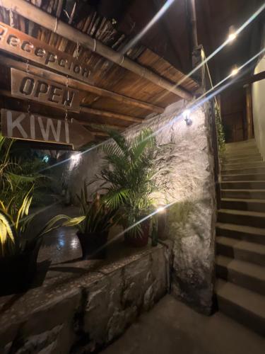 Hostel KIWi Montañita (Hostel KIWi Montanita) in Montanita